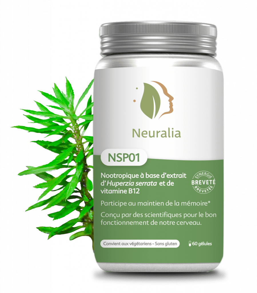complément alimentaire naturel: NSP01 mémoire + neuroprotection