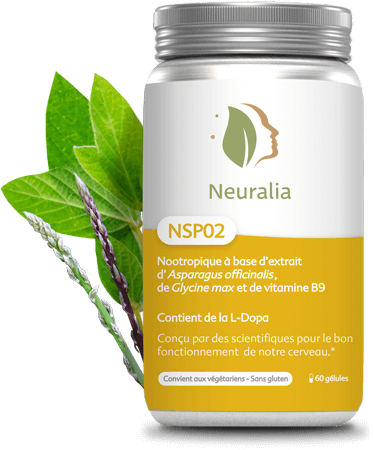 Le nootropique NSP02 contient de la L-Dopa, lutte contre les problèmes de motricité et réduit les tremblements