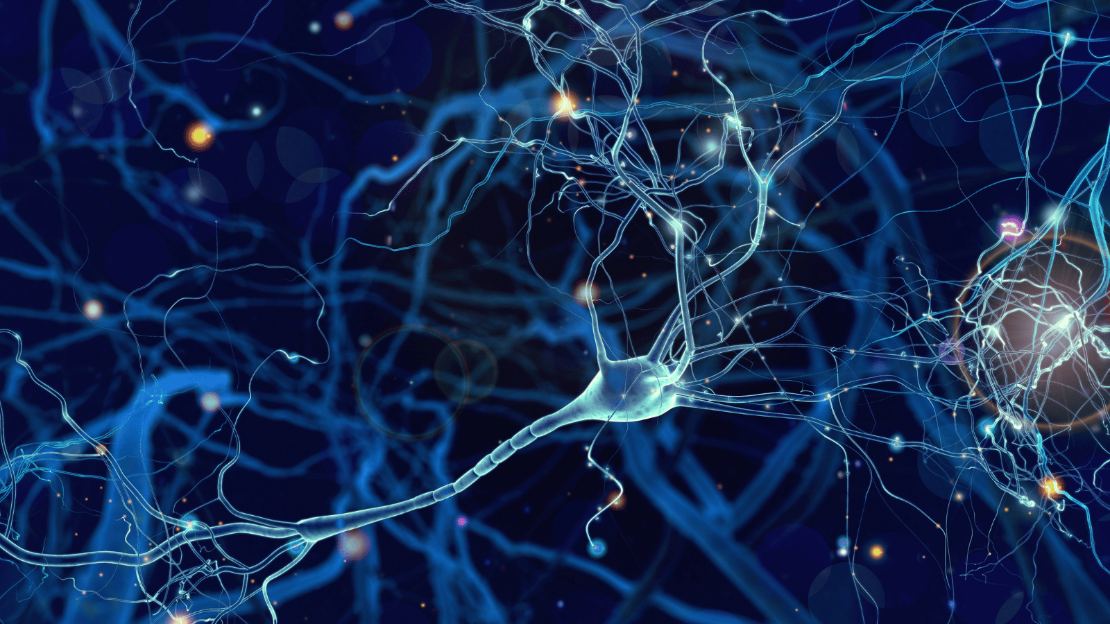 Qu'est-ce qu'un neurone ?