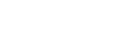 Logo NSL New